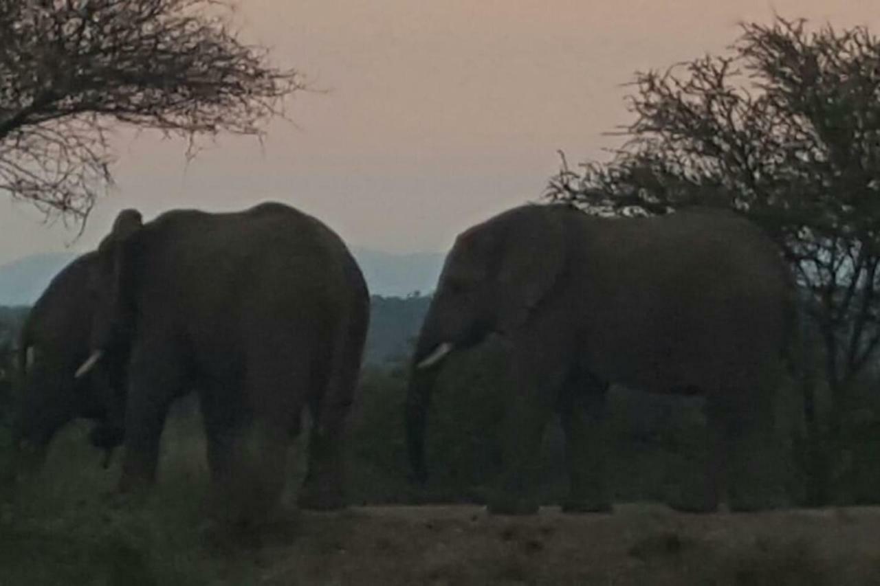 Kubu Khaya Mabalingwe Villa Mabula Game Reserve Exterior photo